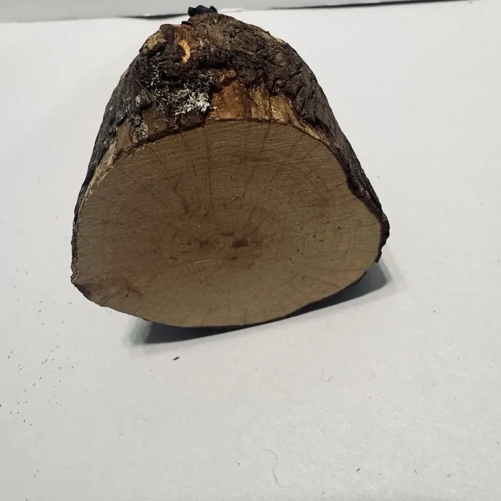 Ridgecrest Mountains NC Black Bear Figurine Folk Art Decor Souvenir Wood Log
